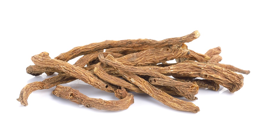 Engelwurz ist eine Pflanze, die als weiblicher Ginseng bekannt ist.