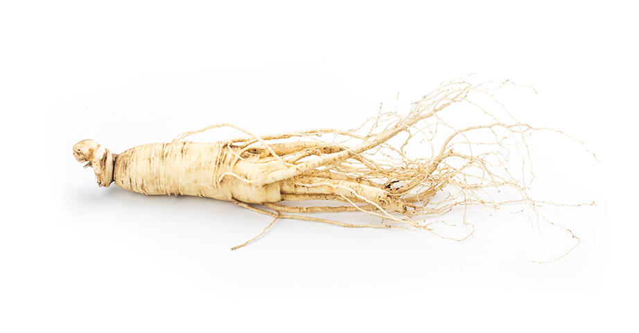 Die im Ginseng enthaltenen Inhaltsstoffe unterstützen den Körper auf vielen Ebenen. Diese Pflanze aus dem Fernen Osten hat eine positive Wirkung auf das zentrale Nervensystem.