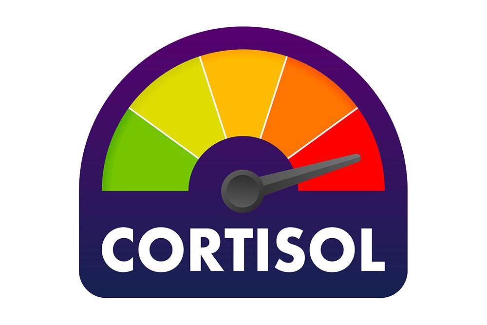 Cortisol – Stresshormon oder ein lebenswichtiger Bestandteil für die normale Körperfunktion?