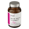 OstroVit Pharma PRO-60 BIOTIC LactoSpore® 60 Kapseln